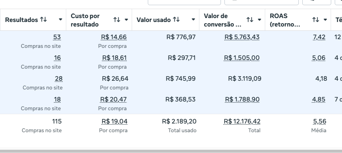 Relatório de campanha - Pizzaria